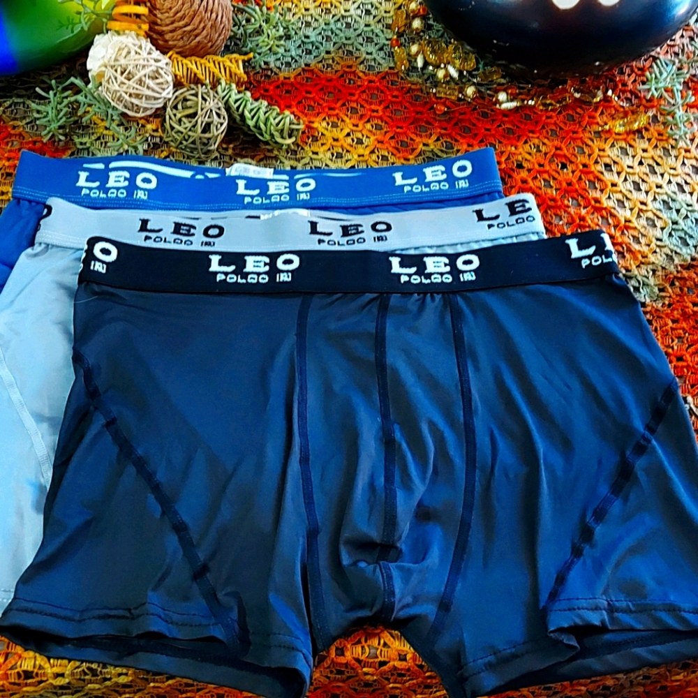 Mens boxer brief xl